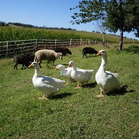 Gutshof Dobschuetz - Urlaub Auf Dem Bauernhof *