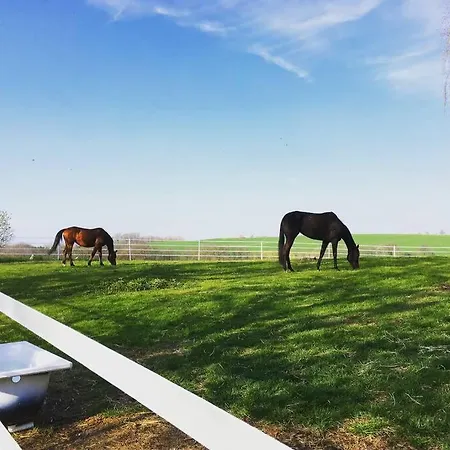 Gutshof Dobschuetz - Urlaub Auf Dem Bauernhof * Nossen